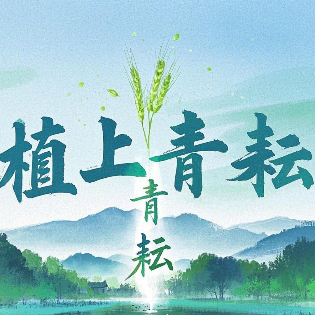 植上青耘