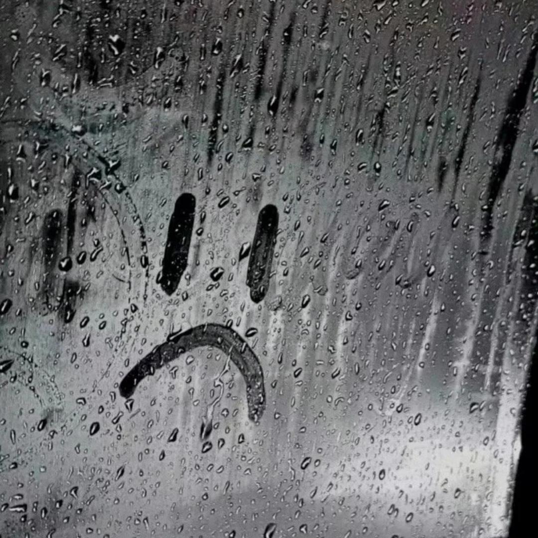 爱画饼的雨