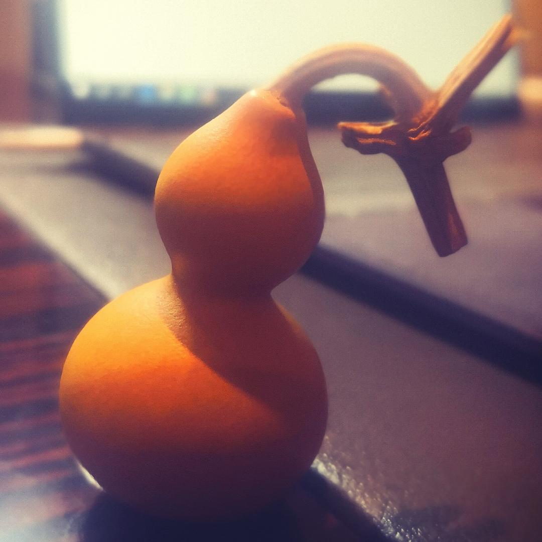 律所小张(实习)