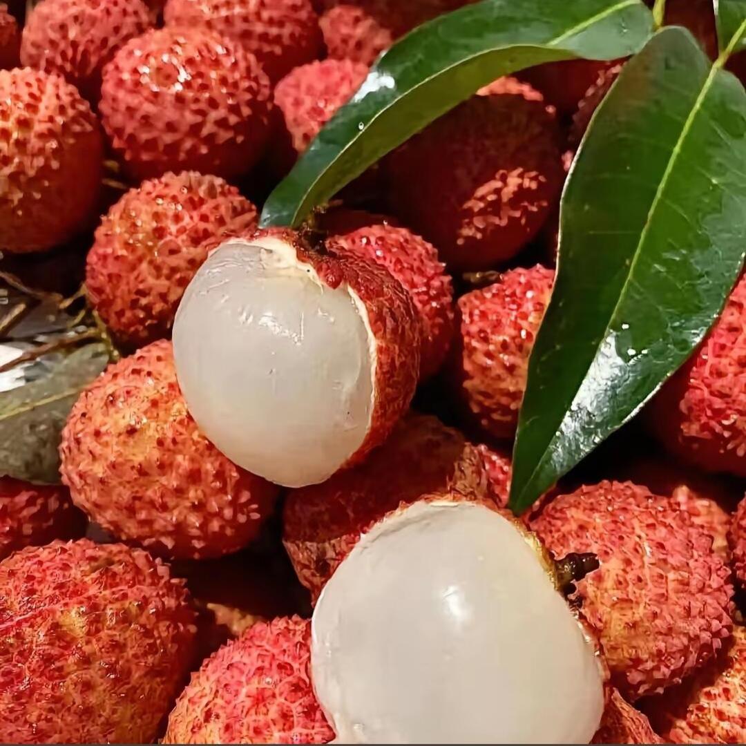 水果之家