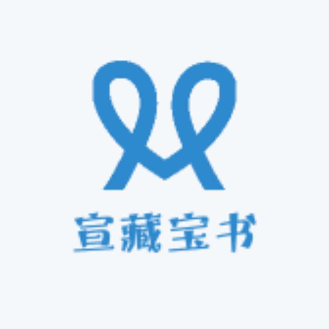 宣藏宝书