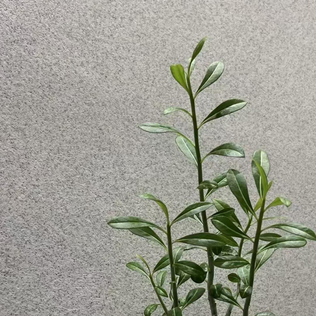 明明的家装小店