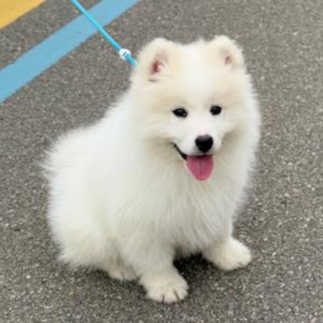 颜7探影