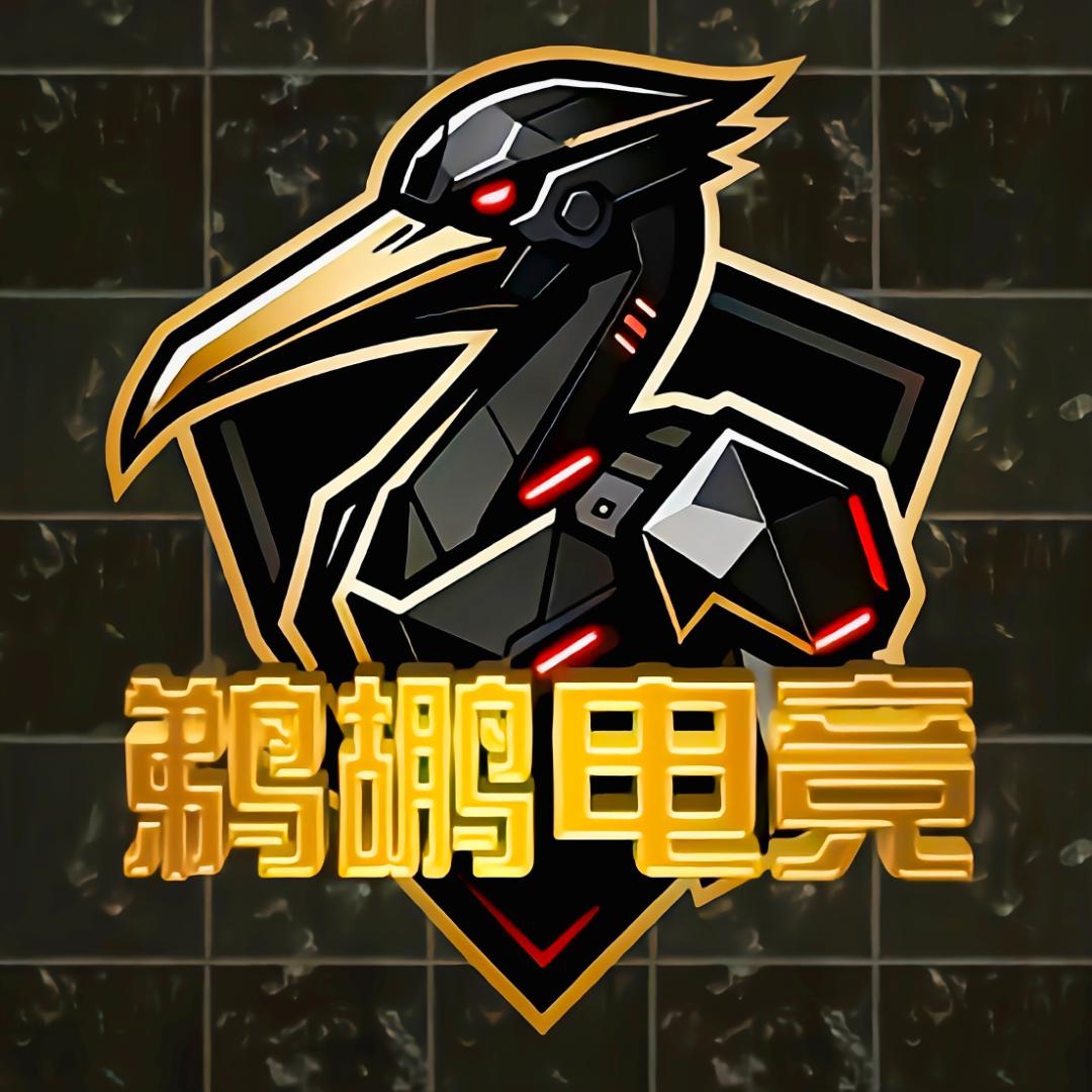 鹈鹕电竞