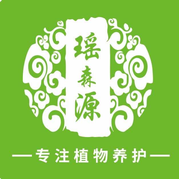 瑶森源美丽魅遇格格