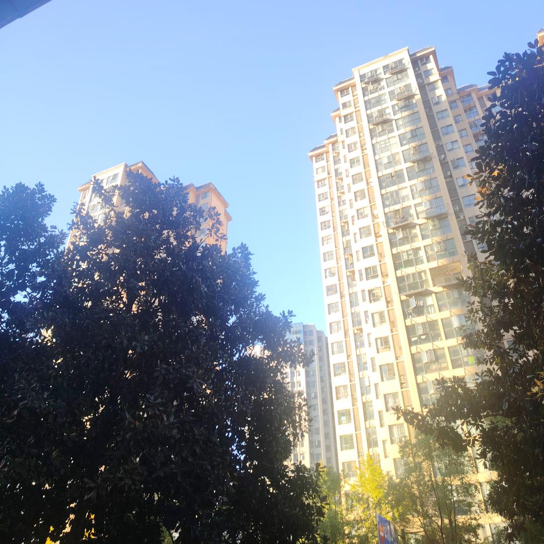 小雨国医仲景(襄阳恒大名都店)