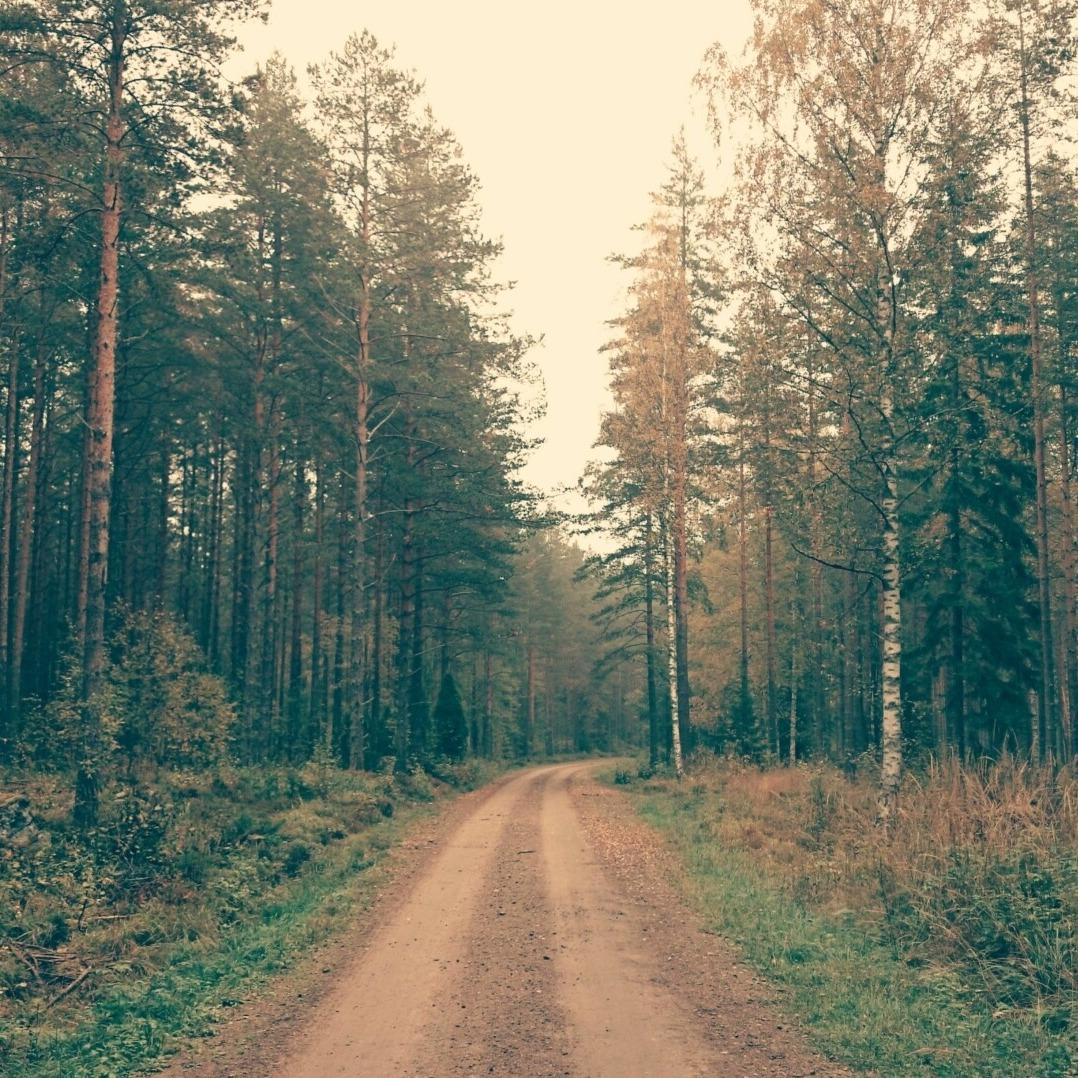 龙门配件城直播号