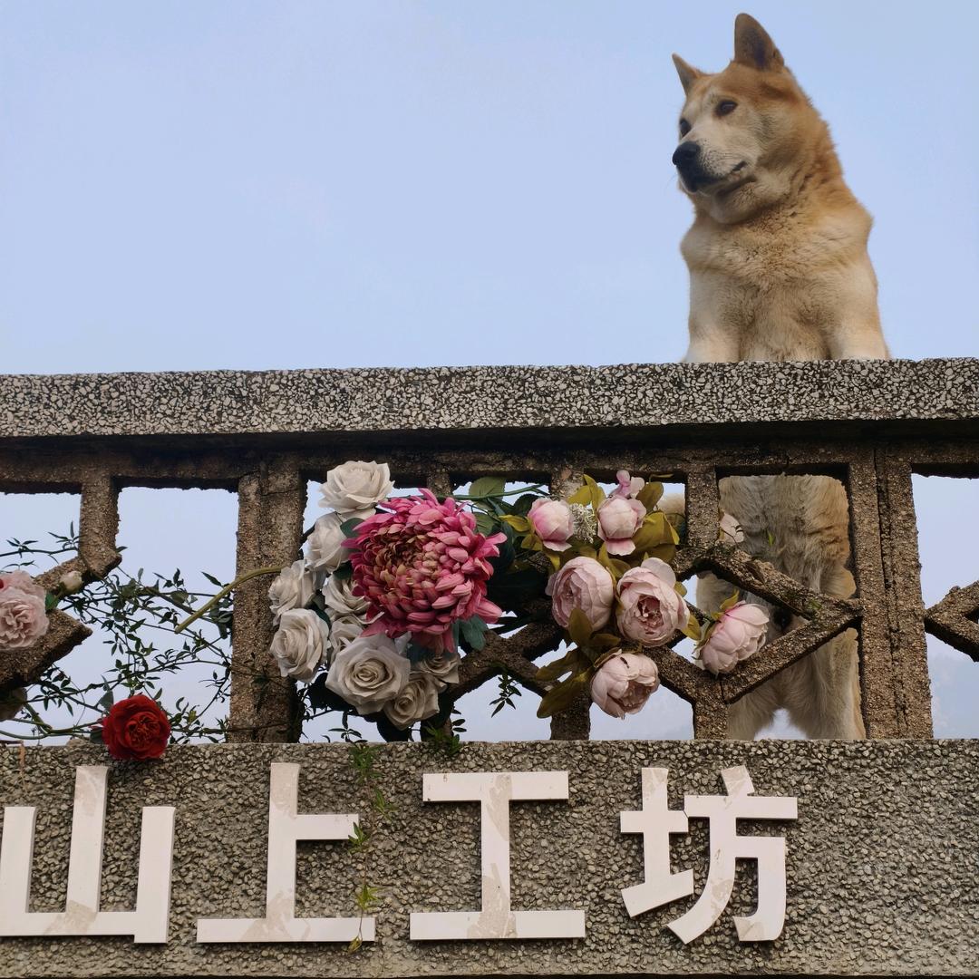 山上工坊官方号