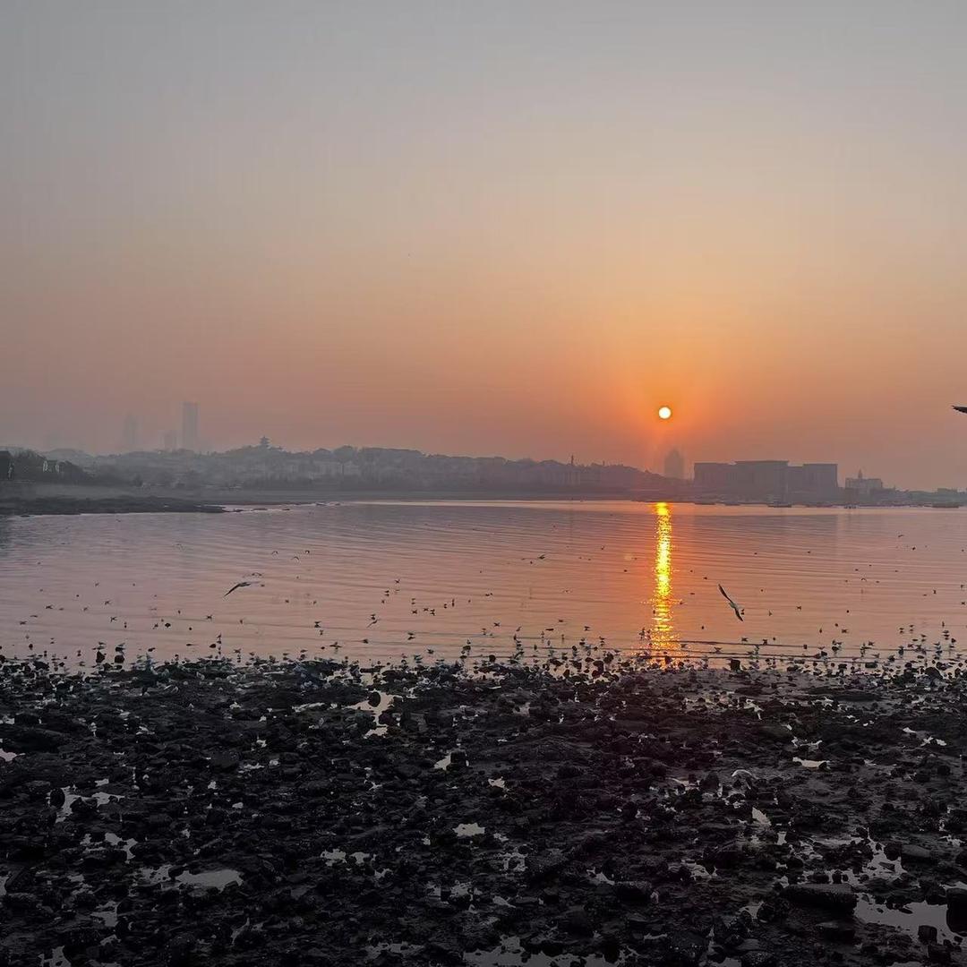 梦动奥偎商贸-直播号