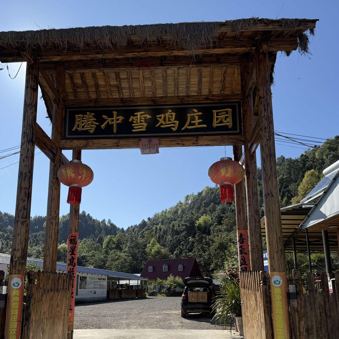 腾冲雪鸡庄园官方号
