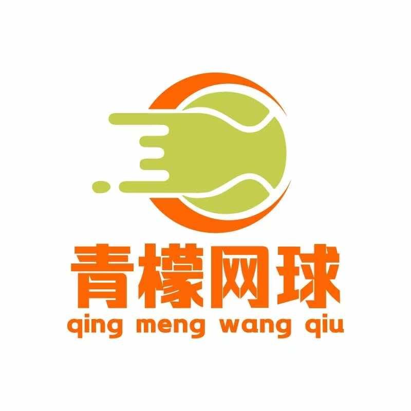 宝安青檬网球户外发球机学练馆