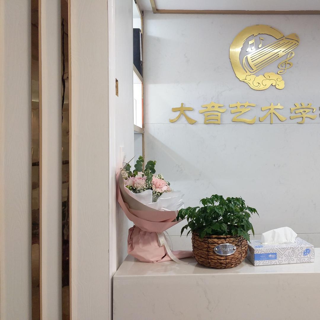 大音艺术学校宠粉号