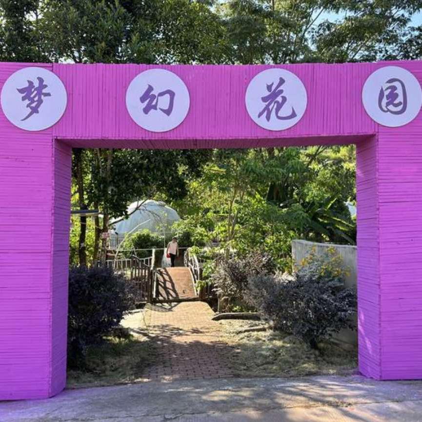 梦幻花园官方号