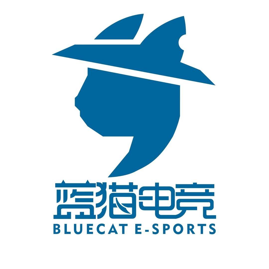 蓝猫电竞（城南美地店）