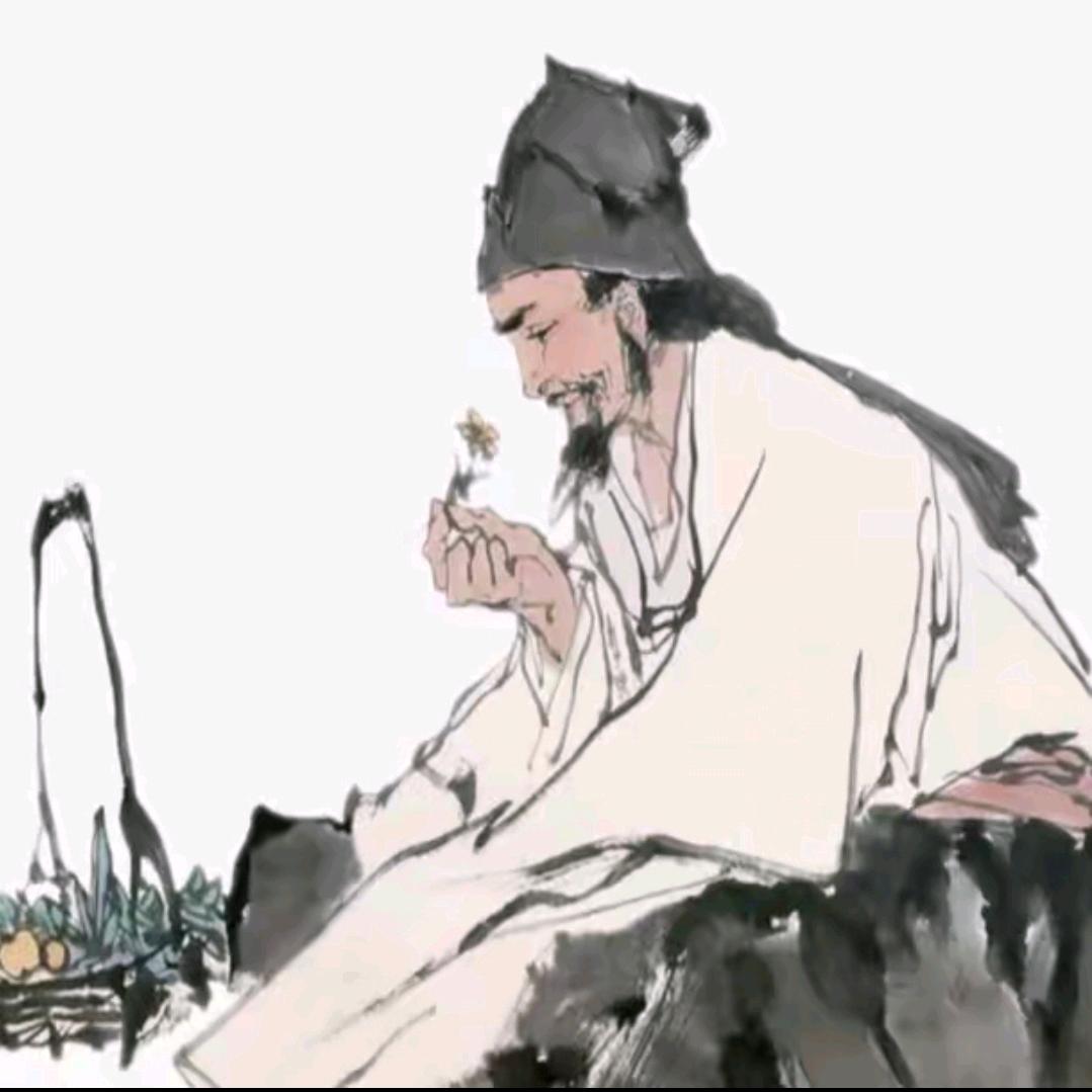 清风徐徐来3直播号