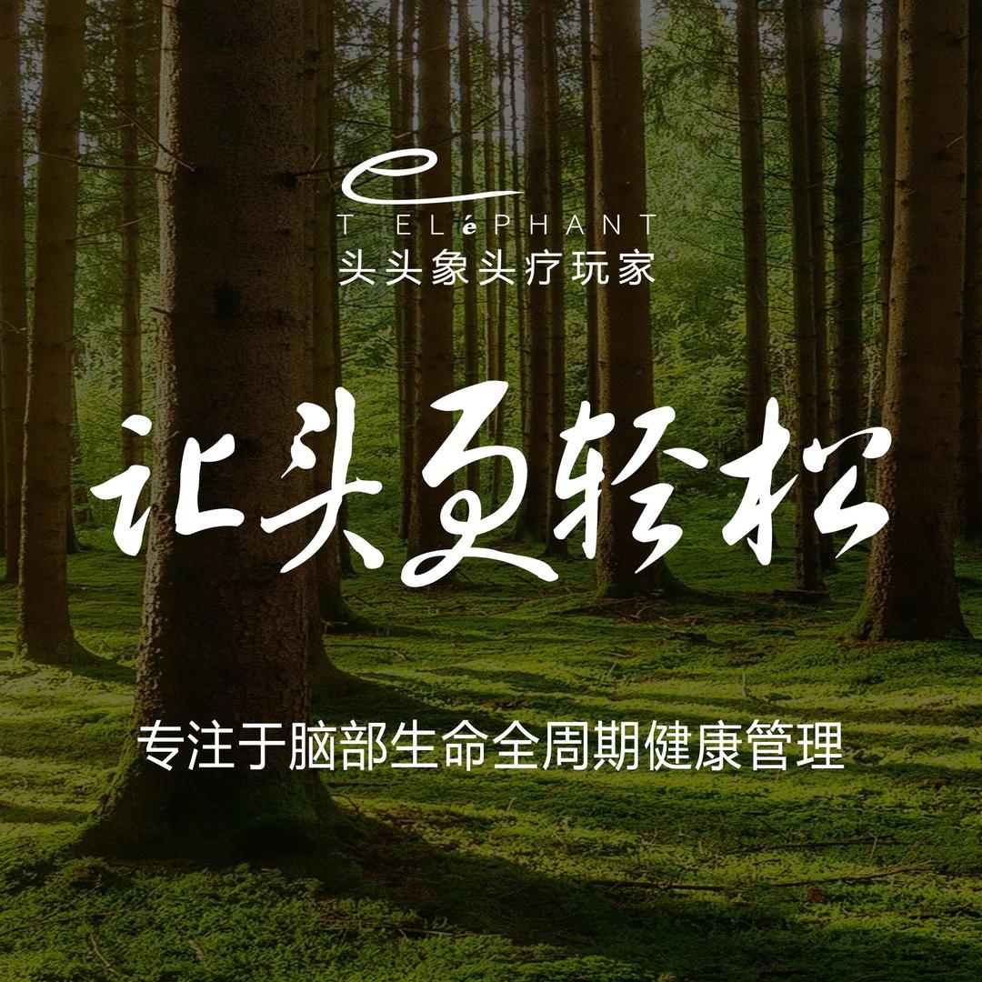 头头象头疗玩家（宝安新桥店）