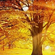 湖北暨儒霖滨网络科技保保2号