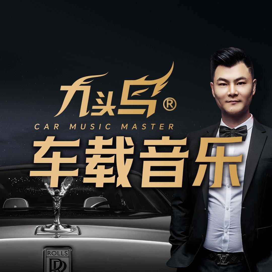 九头鸟汽车音乐【派对号】