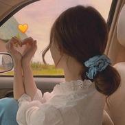 琴琴检车