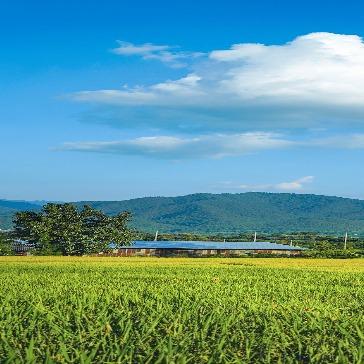 慧金百货(元下田分店)FE找找官方号