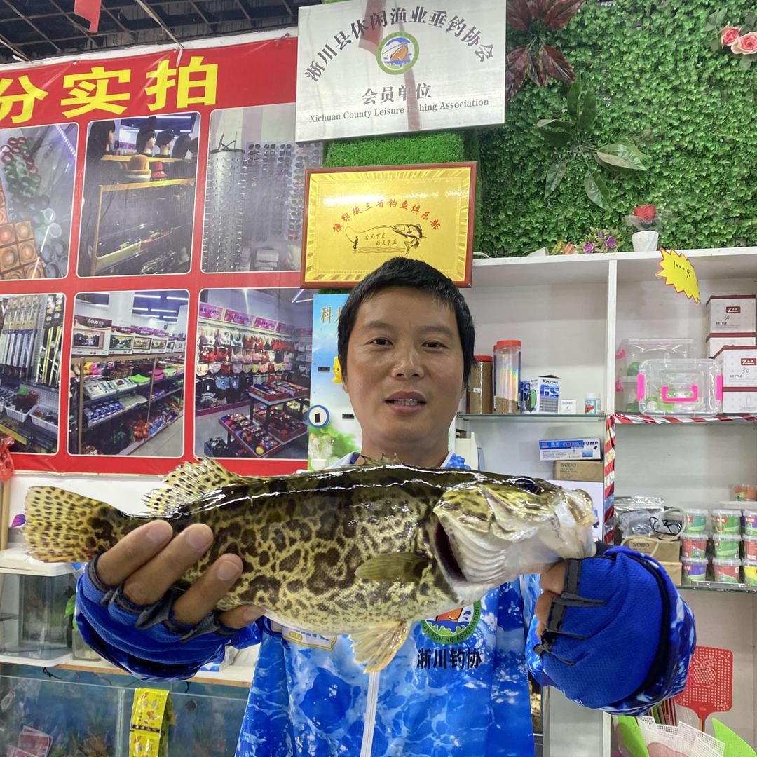荆关小义乌——汉鼎精品鱼具
