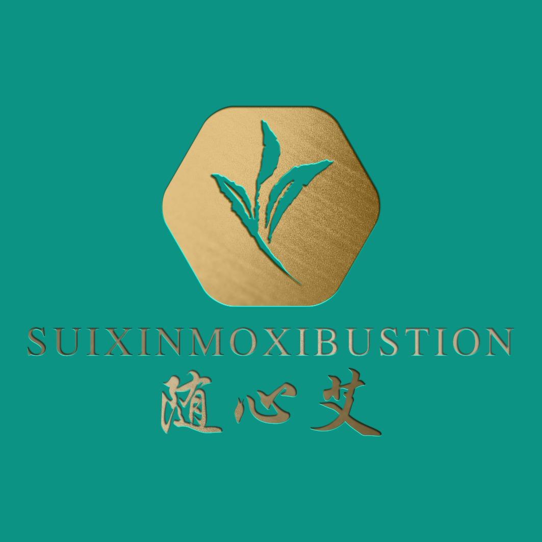 随心艾(重庆东海岸店)