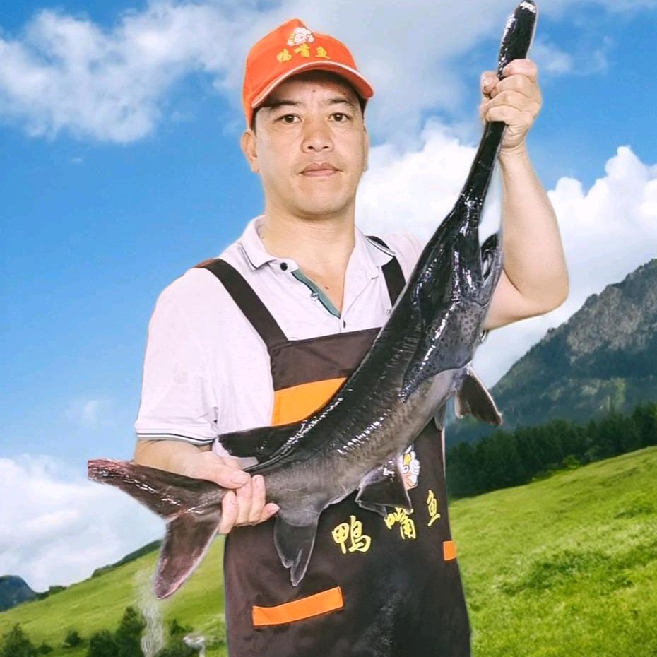 嘎嘎香鸭嘴鱼