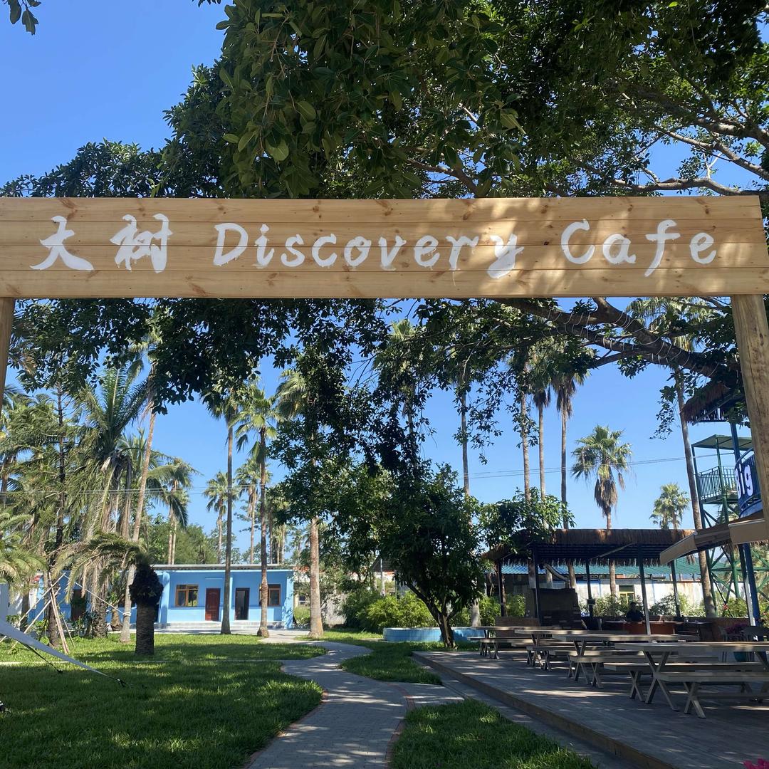 大树Discoverycafe官方号