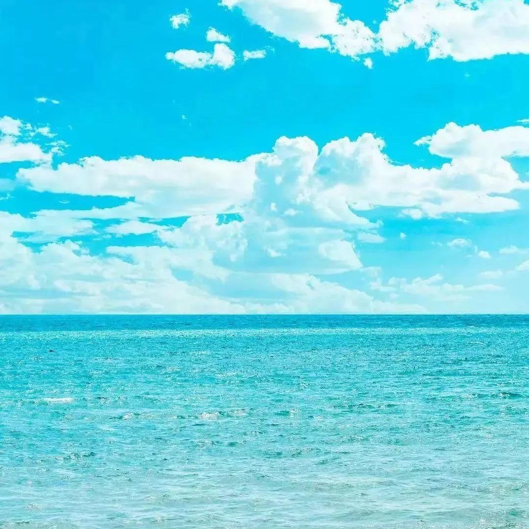 福地传媒直播号