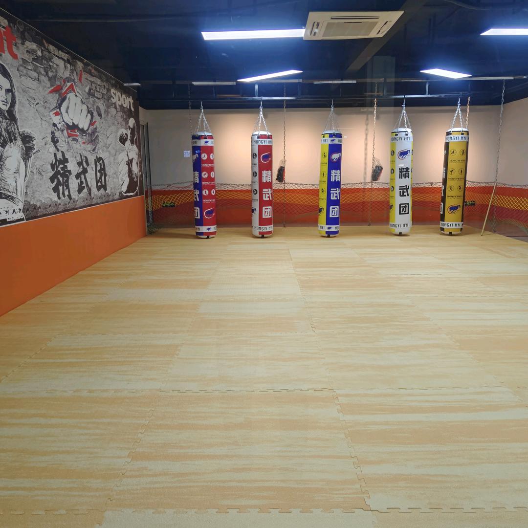 精武团武术搏击