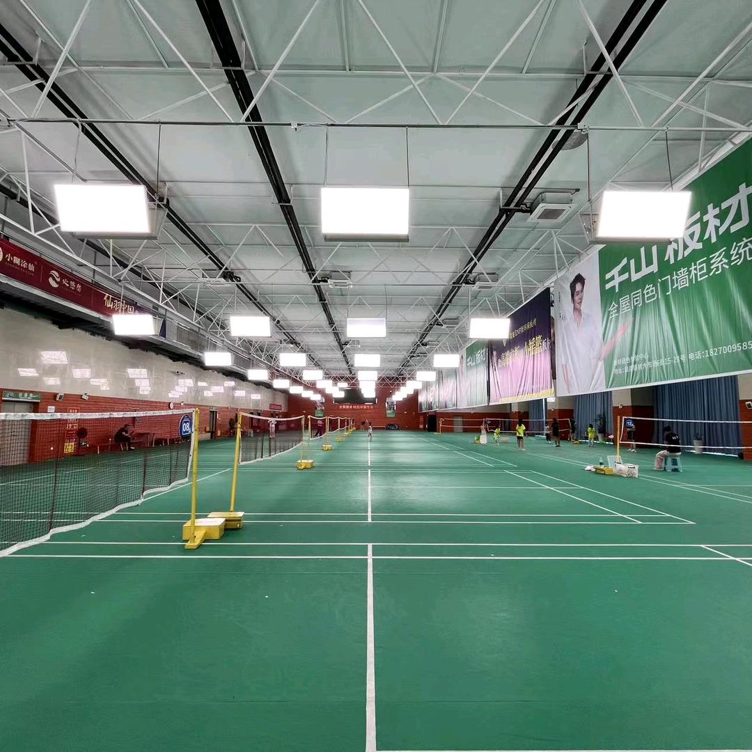 迈腾体育官方号