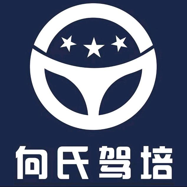 向阳驾校直播号