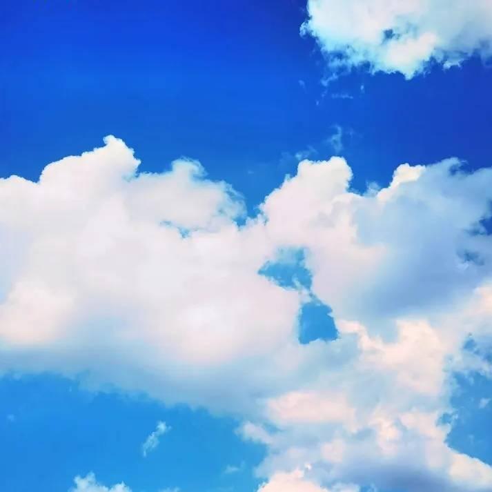 广州伊伊贸易广州博朔贸易有限公司经营号