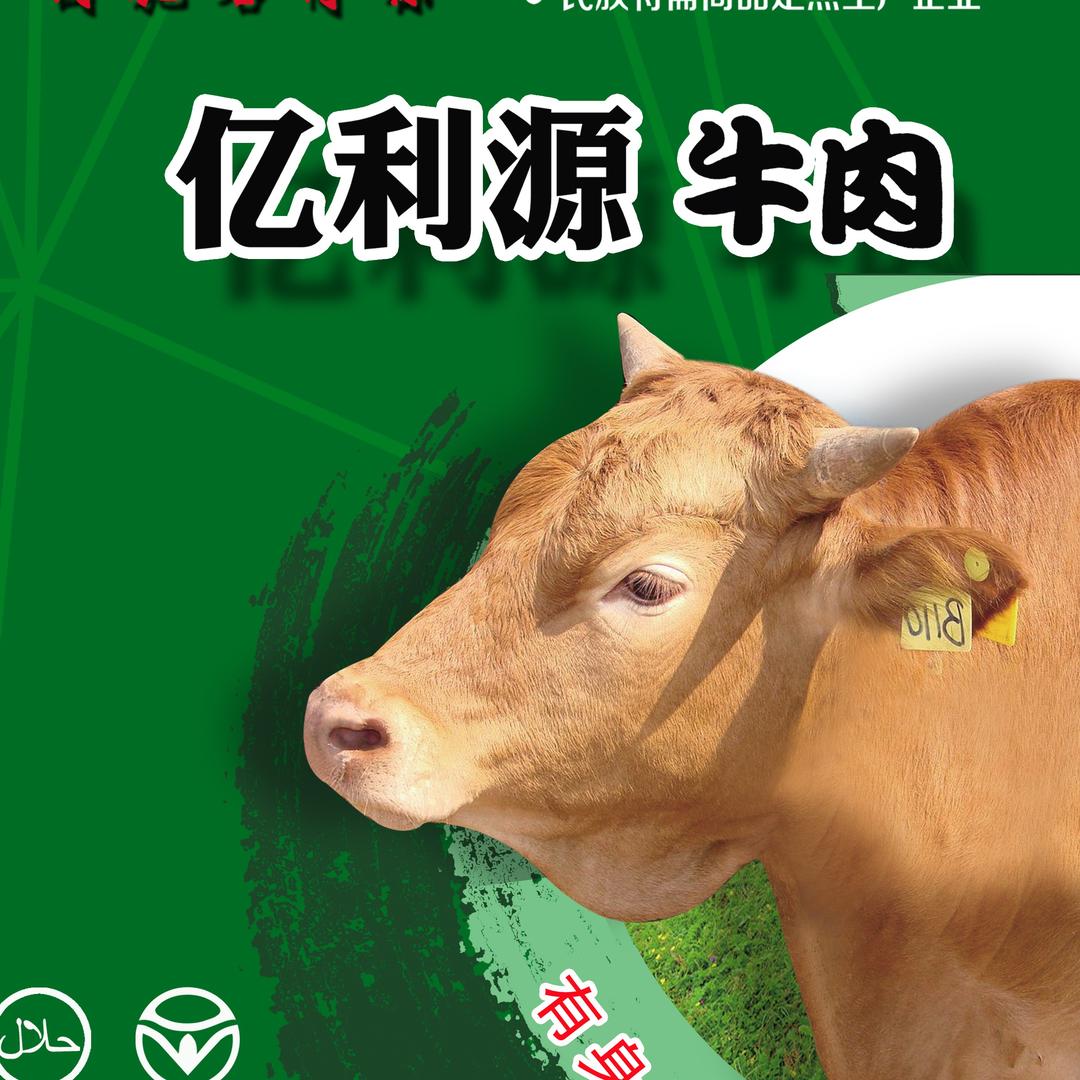 亿利源（阳光店）