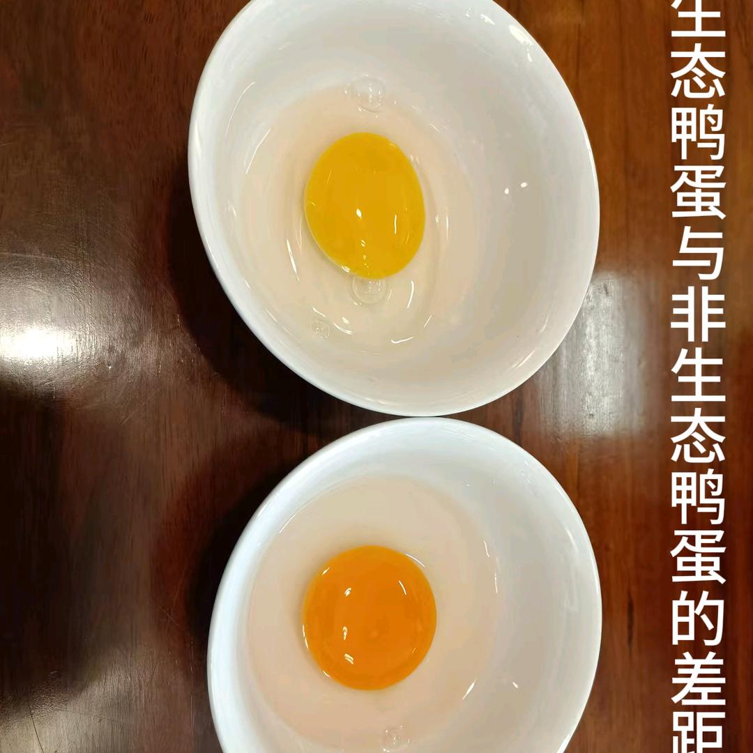 靖江姑姑只做生态鸭蛋