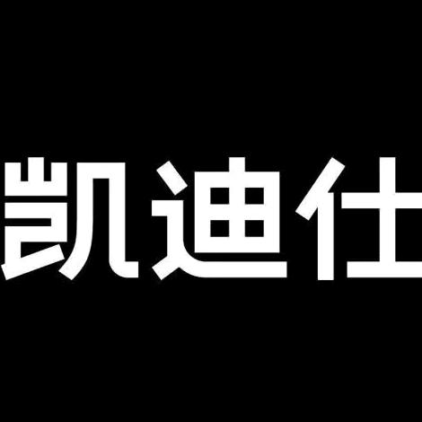 临泉凯迪仕智能锁辉隆二期店