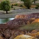 御芝艾厅直播号