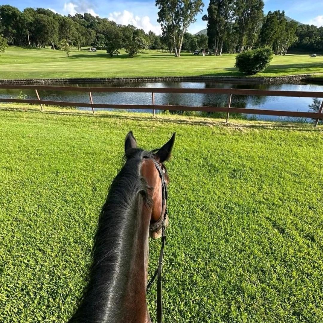 天马野骑俱乐部福利号