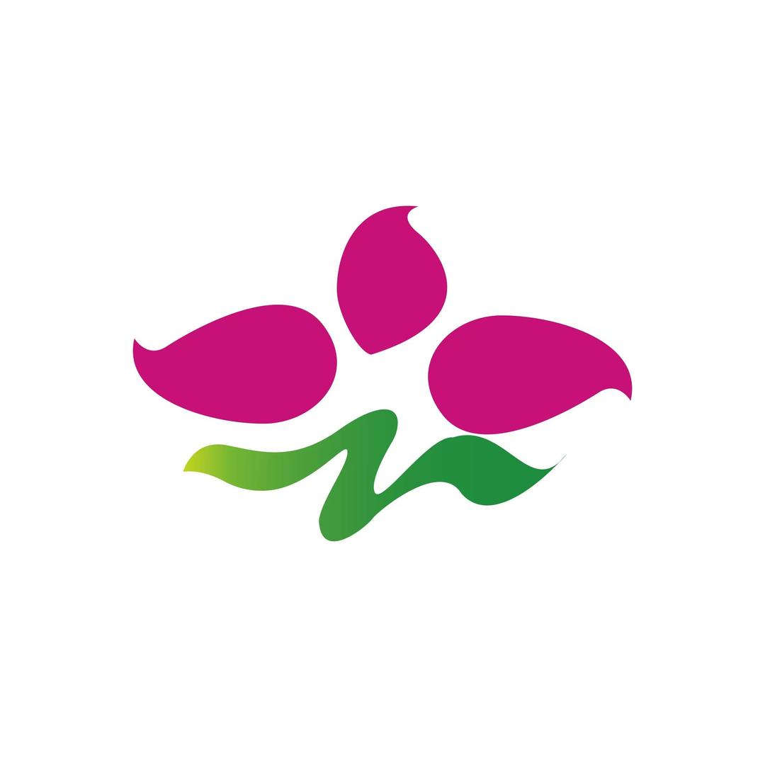 深之旅国际旅行社港澳线罗湖第一分公司