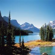 湖北省阜迪电子商务工作室11直播号