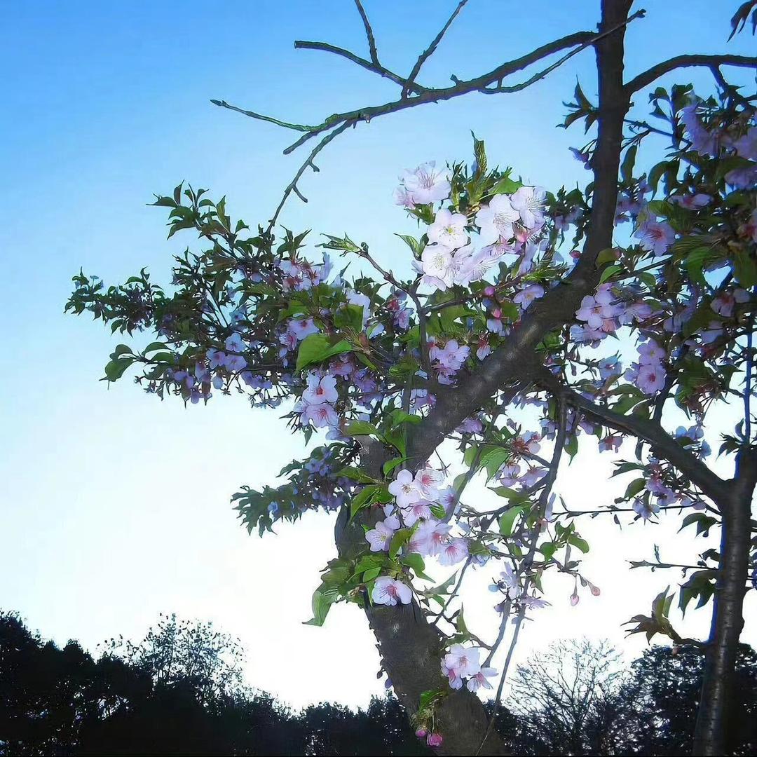 乐尔乐特价批发超市(湖北大学店)官方号