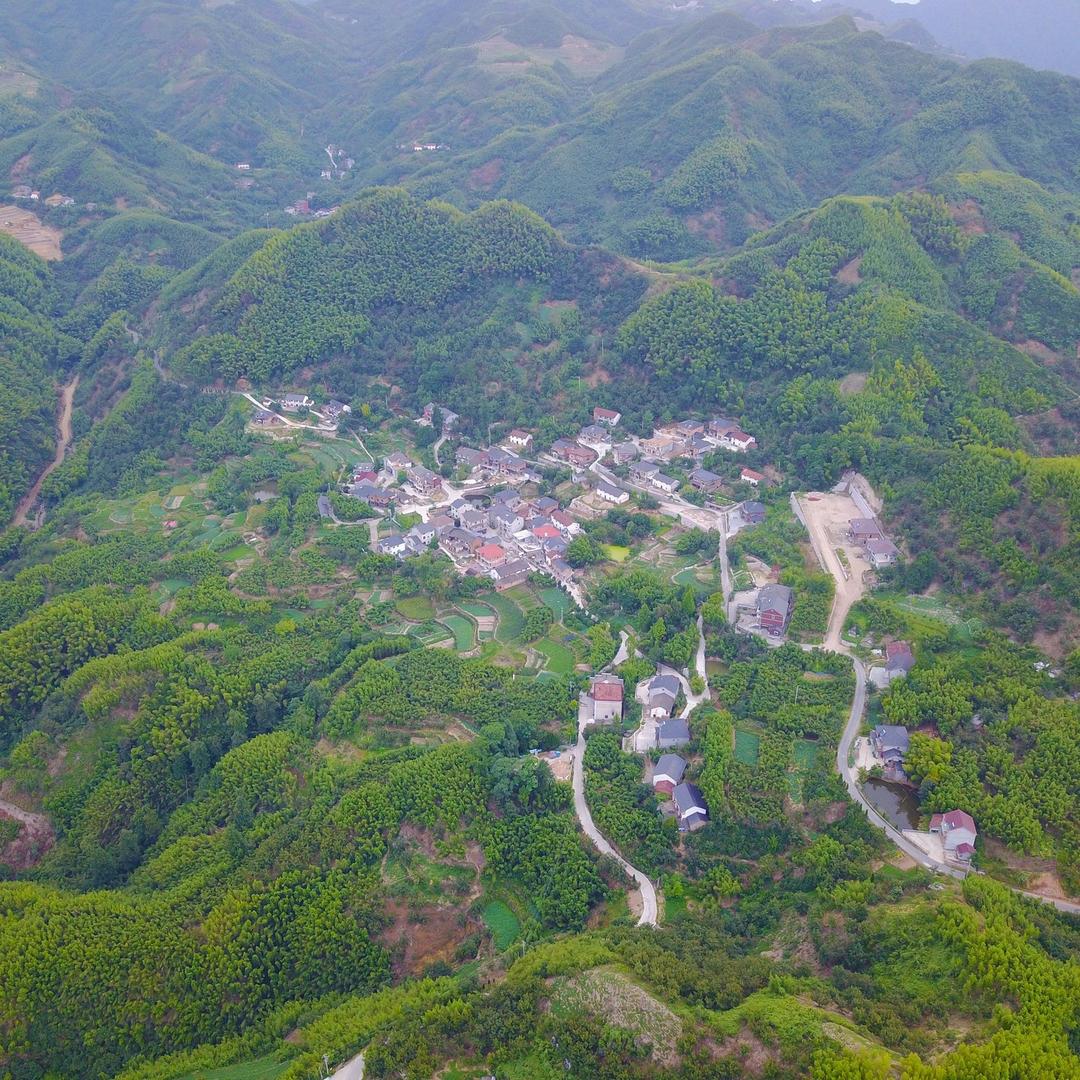 大山深处的秘 密