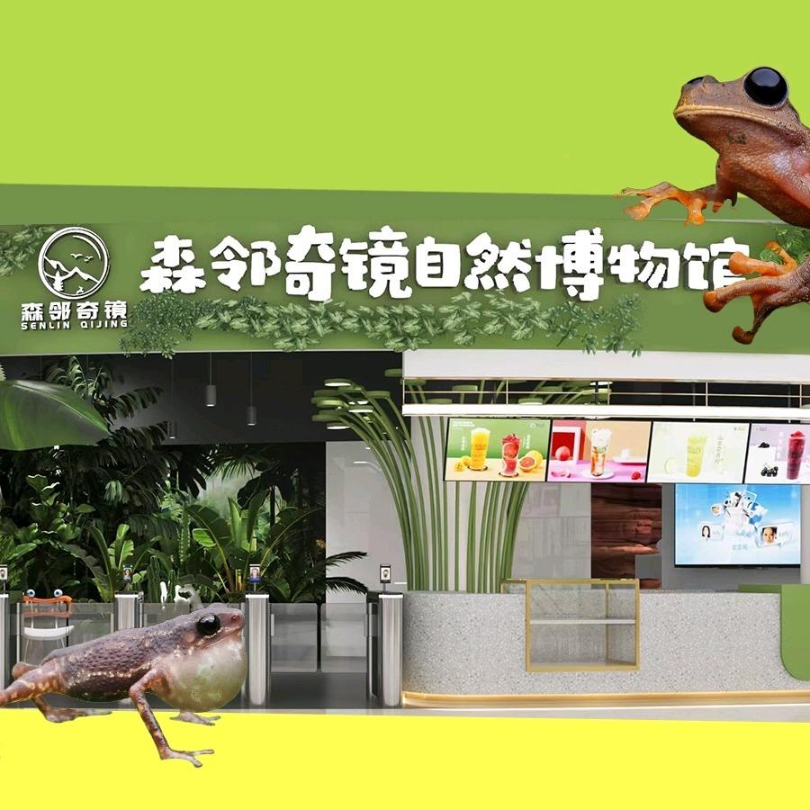 森邻奇镜品牌号