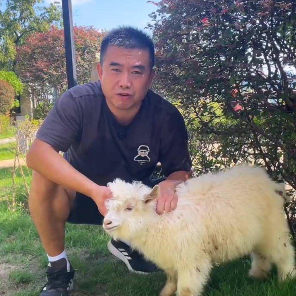 重庆南山大石花园烤全羊