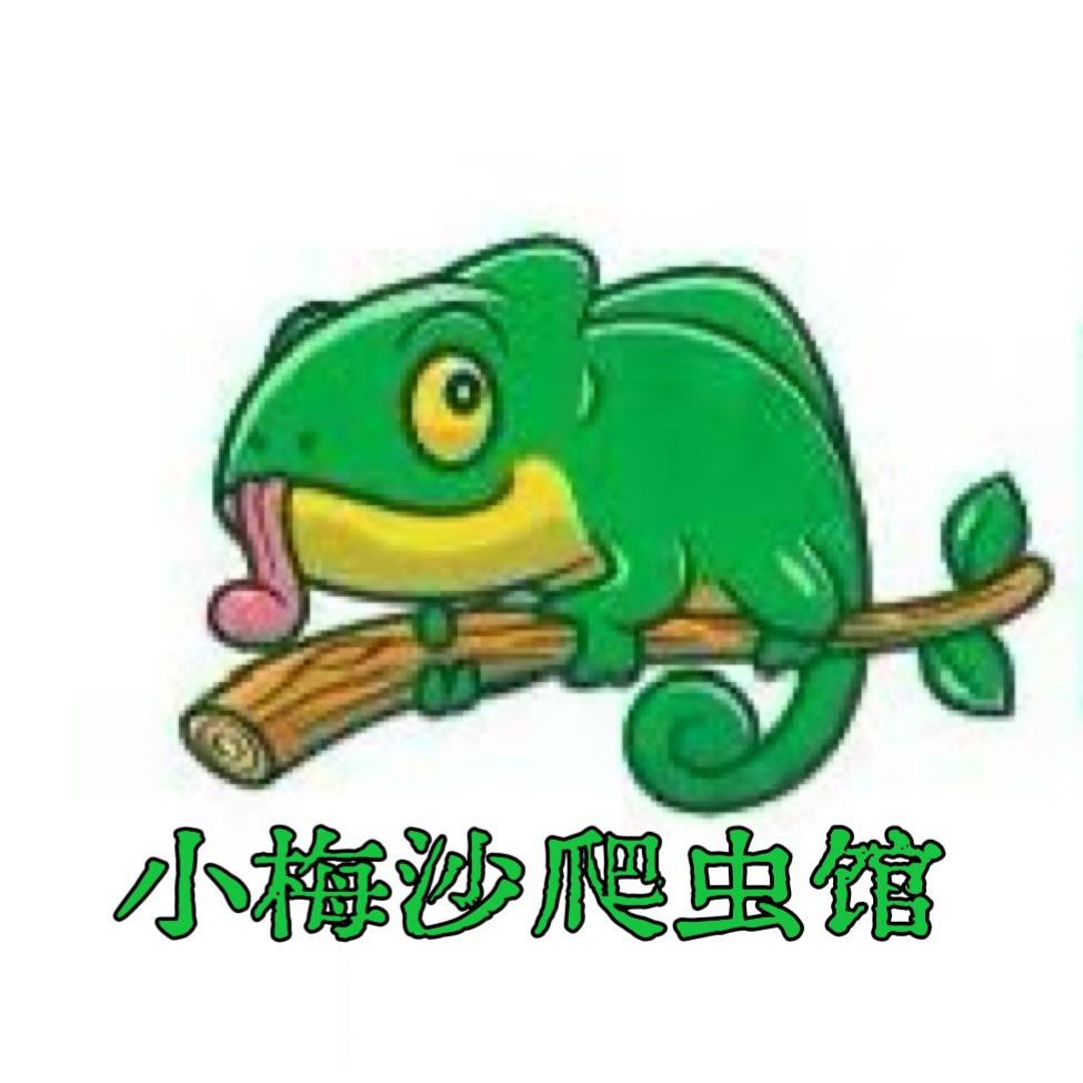 深圳小梅沙陆地爬虫博物馆