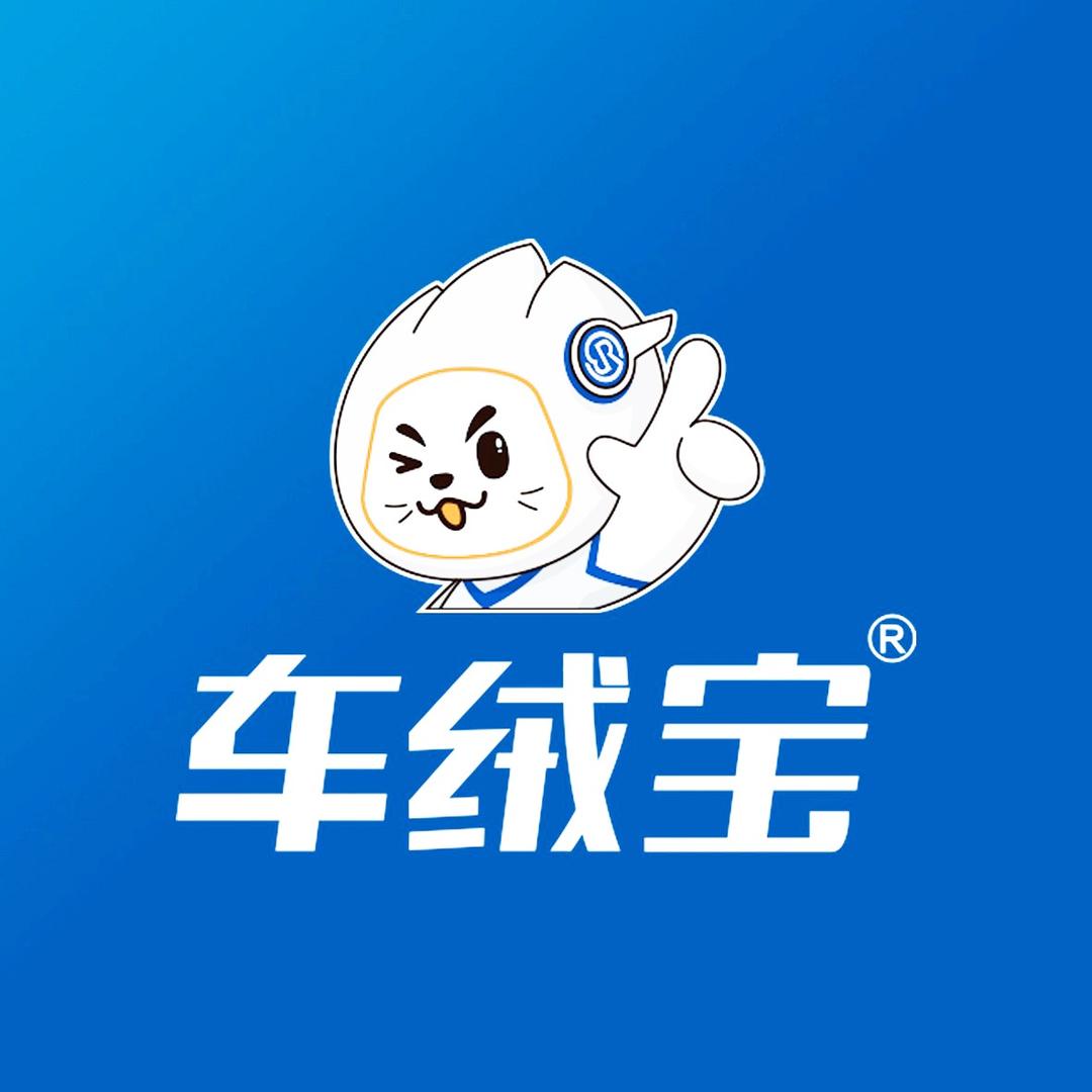 车绒宝【兰州新区天成】汽车膜垫连锁店