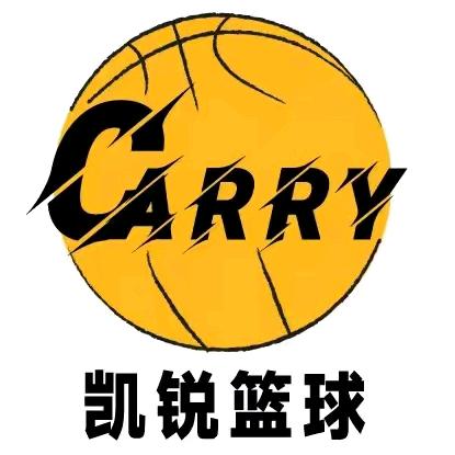 合川财富广场凯锐篮球