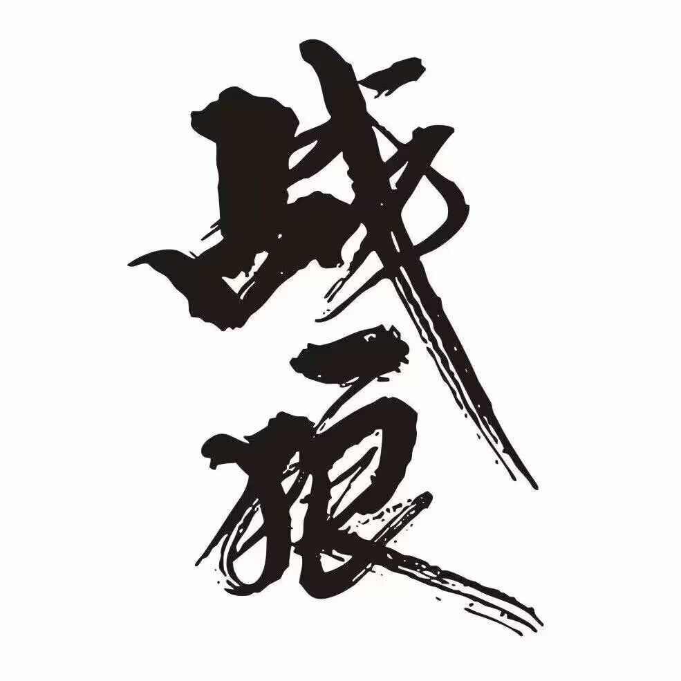 安阳｜战狼搏击🇨🇳