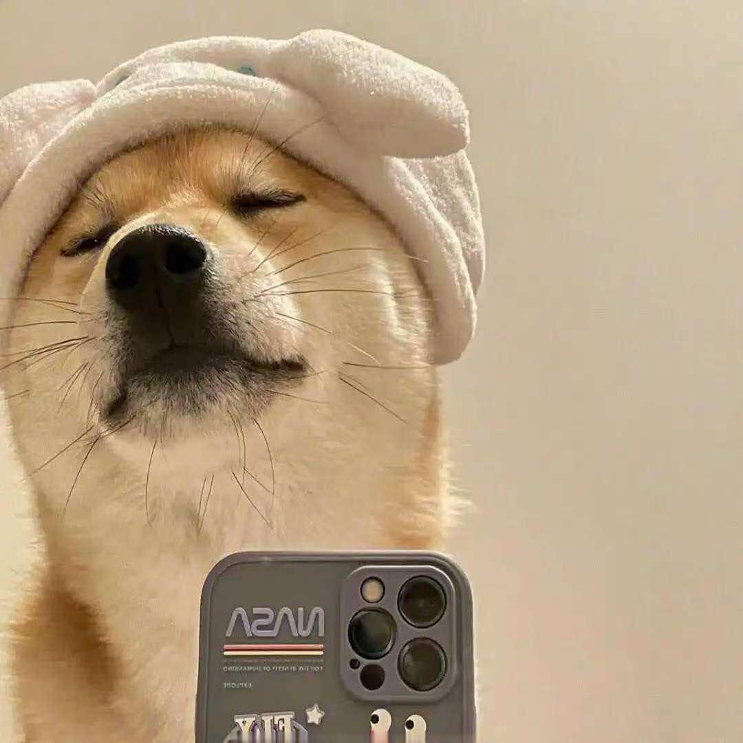 30443653034