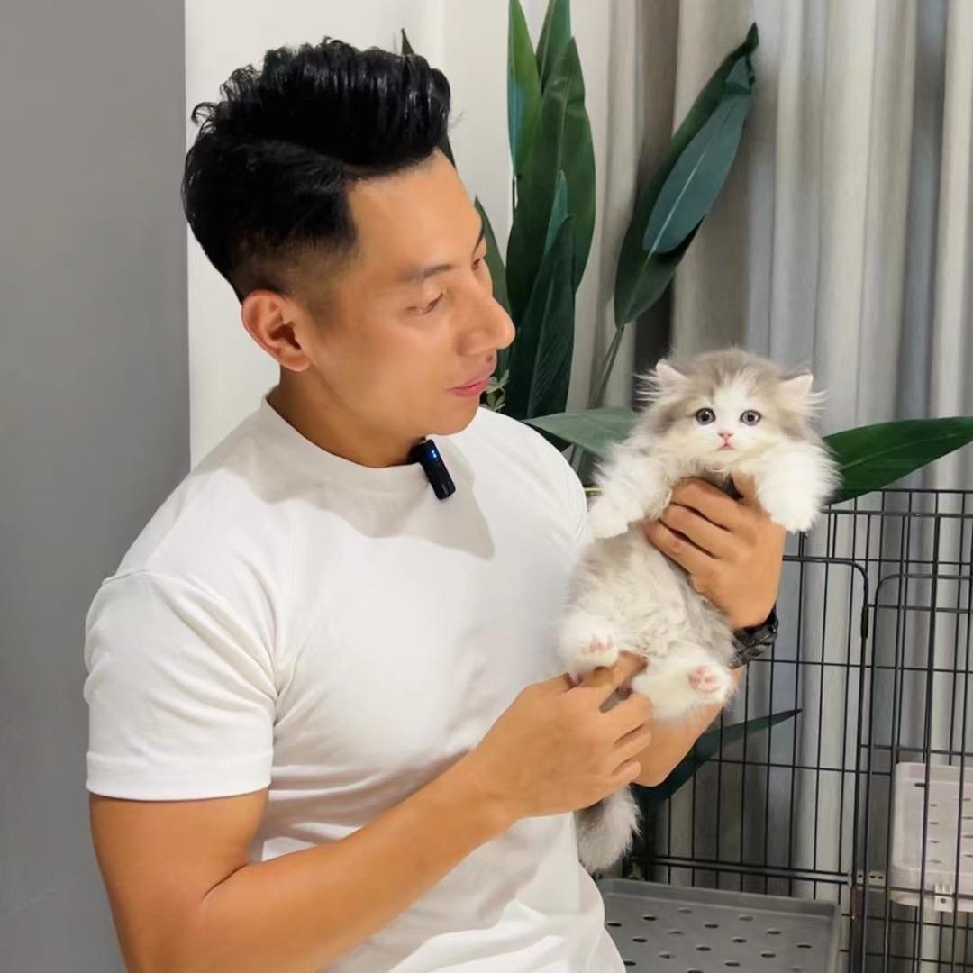 猫男Boss 宠美